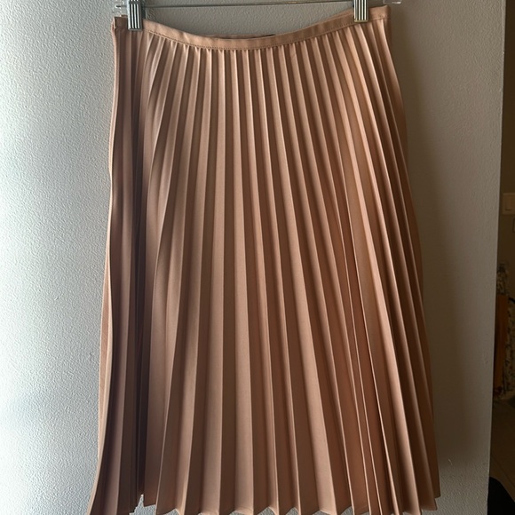 Zara EUC Woman Blush Accordion Pleated Midi A-Line Skirt - Picture 3 of 5